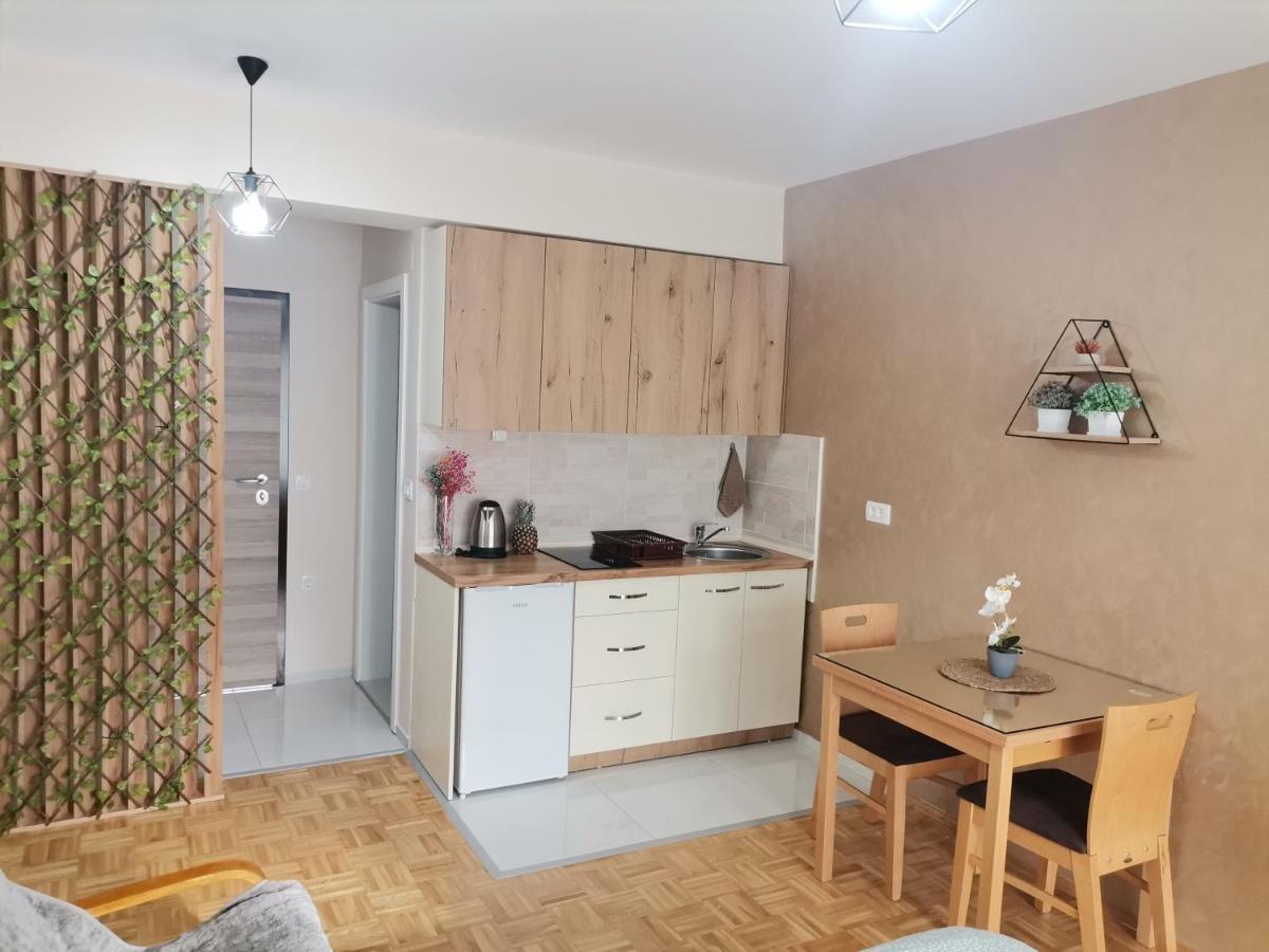 Jana Apartment オフリド エクステリア 写真