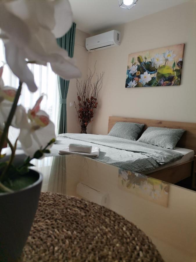 Jana Apartment オフリド エクステリア 写真