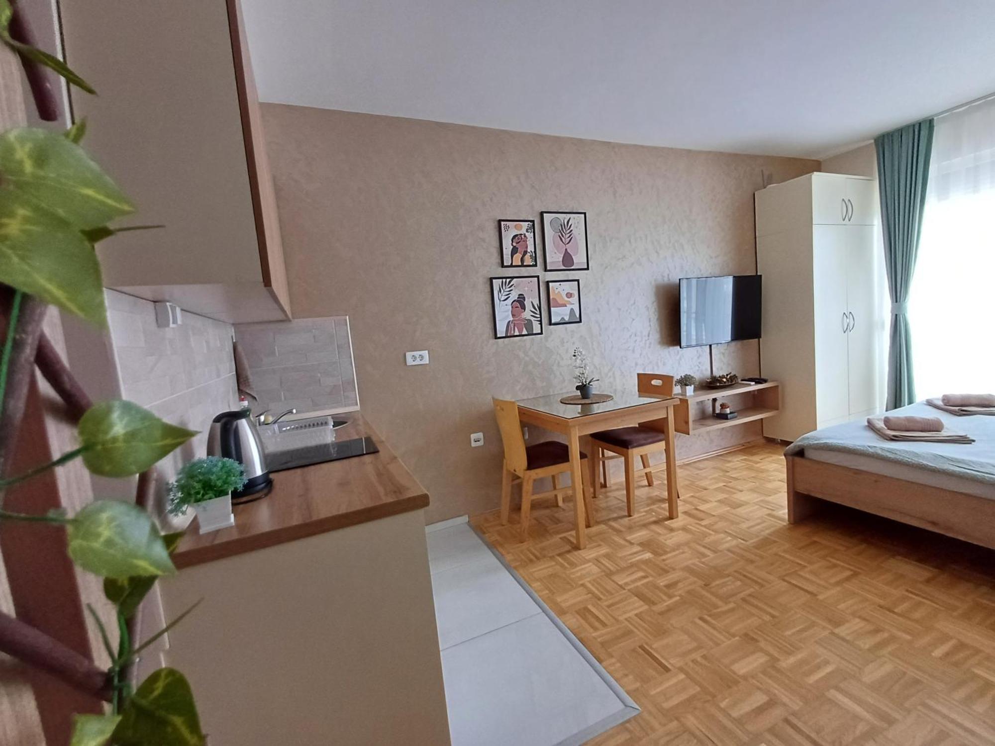 Jana Apartment オフリド エクステリア 写真